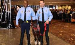 Awards Luncheon 2024 Photo Gallery