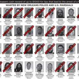 Crimestoppers Media Release